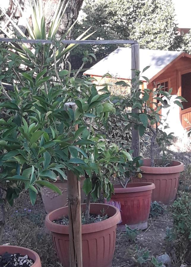 Appartamento Mediano In Villetta 3 Livelli - Perugia, Olmo Costa D'Argento Εξωτερικό φωτογραφία